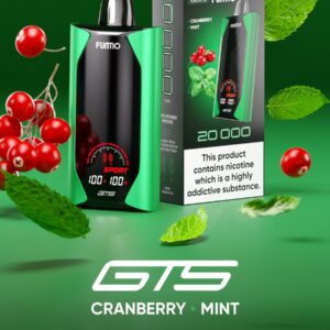 FALCON FUMO 20K PUFFS Cranberry Mint vape | Buy Vape online India