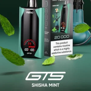 FALCON FUMO 20K PUFFS Shisha Mint flavor vape | Buy vape Online India