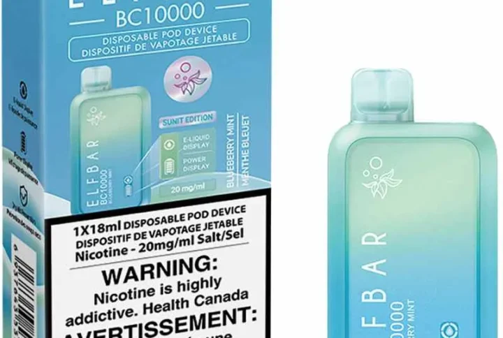 ELF BAR BC10000 – Blueberry Mint Disposable Vape
